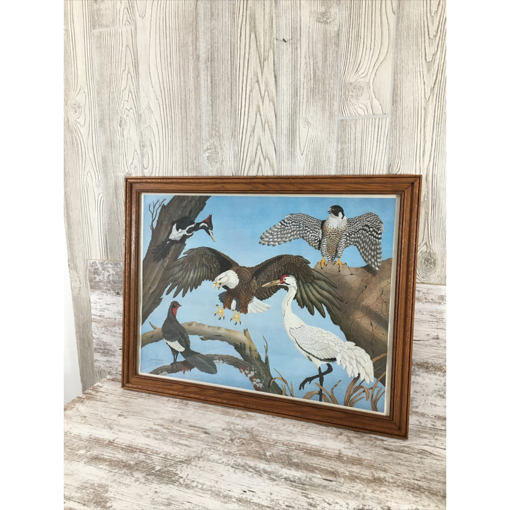 James Kukrul Wildlife Print Signed & Framed Eagle Crane Woodpecker 22x27 - Picture 7 of 16